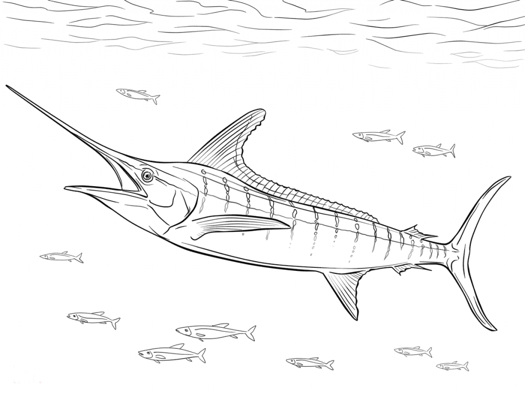 1024x768 Flying Fish Coloring Page