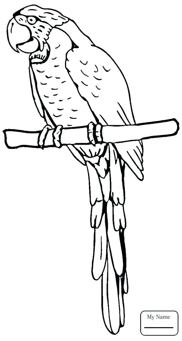 618x1154 Baby Fish Coloring Pages