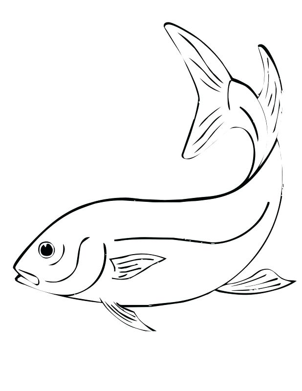 618x800 Flying Fish Coloring Page Ational Printable Fish Coloring Pages