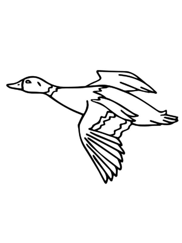 600x802 Free Printable Coloring Pages