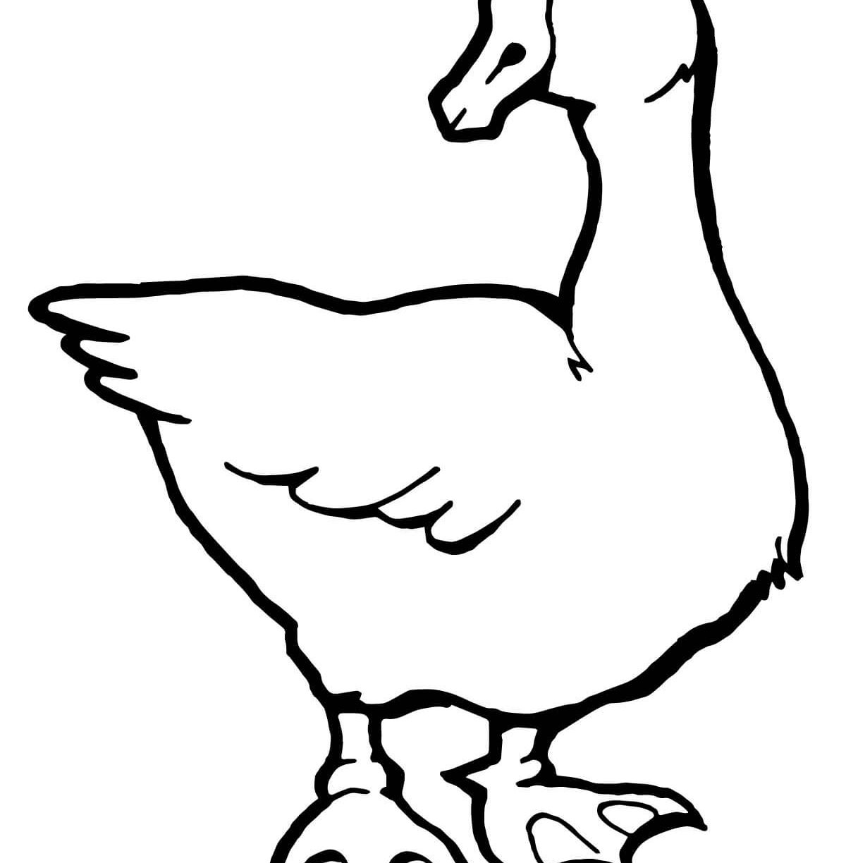 1200x1224 Goose Coloring Page Free Printable Pages Gooses Animals Sheets