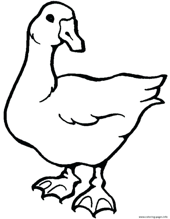 687x886 Goose Coloring Page Goose Coloring Page Goose Coloring Pages Goose