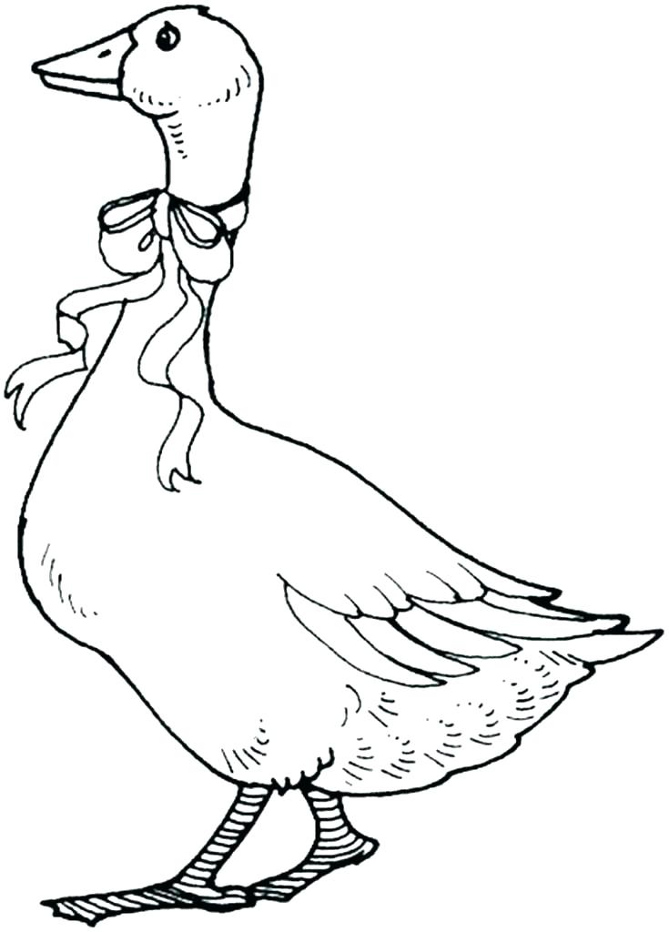 735x1024 A Mother Goose Coloring Page A Mother Goose Coloring Page Mother