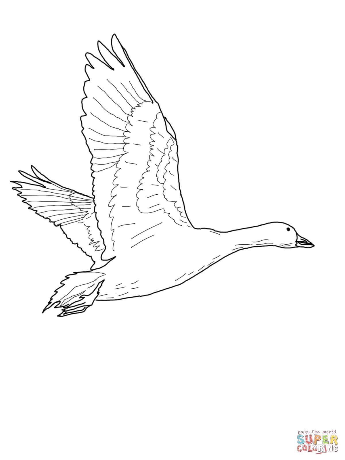 1200x1600 Oie Des Neiges Qui Vole Super Coloring I Like It Sooo Much