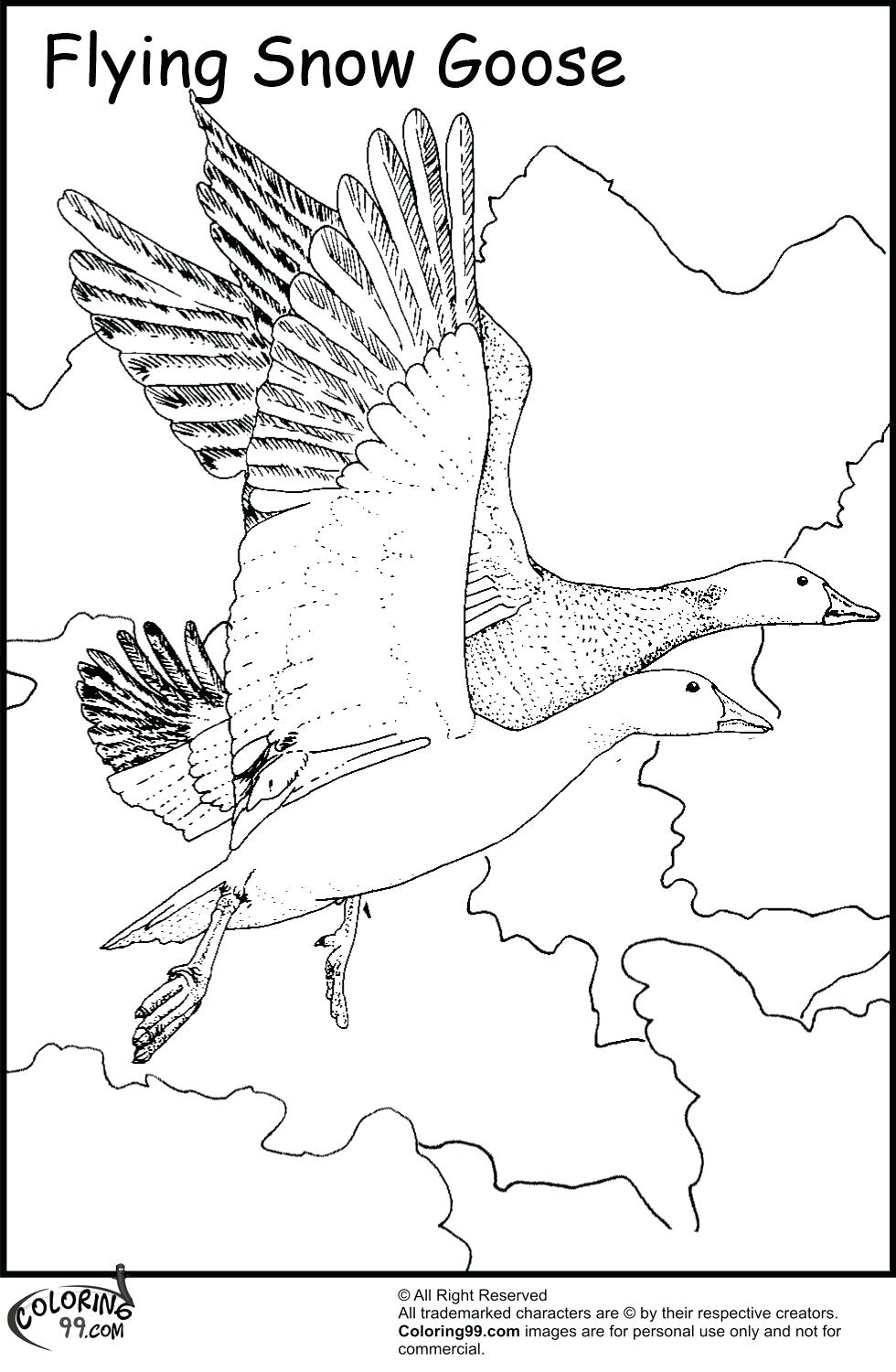 980x1500 Coloring Page ~ Goose Coloring Page Wild Free Printable Gooses