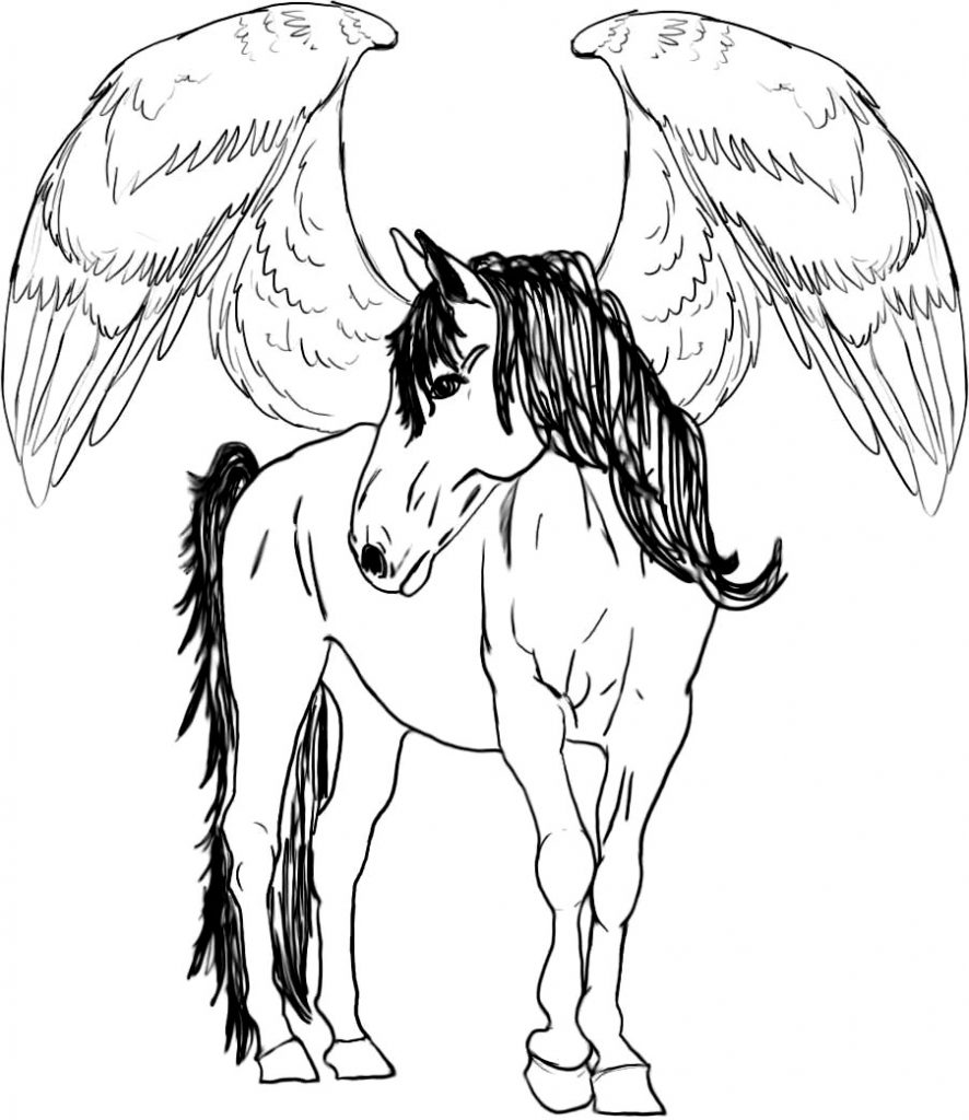 886x1024 Flying Horse Coloring Pages With Stars Free Printable Kids Book