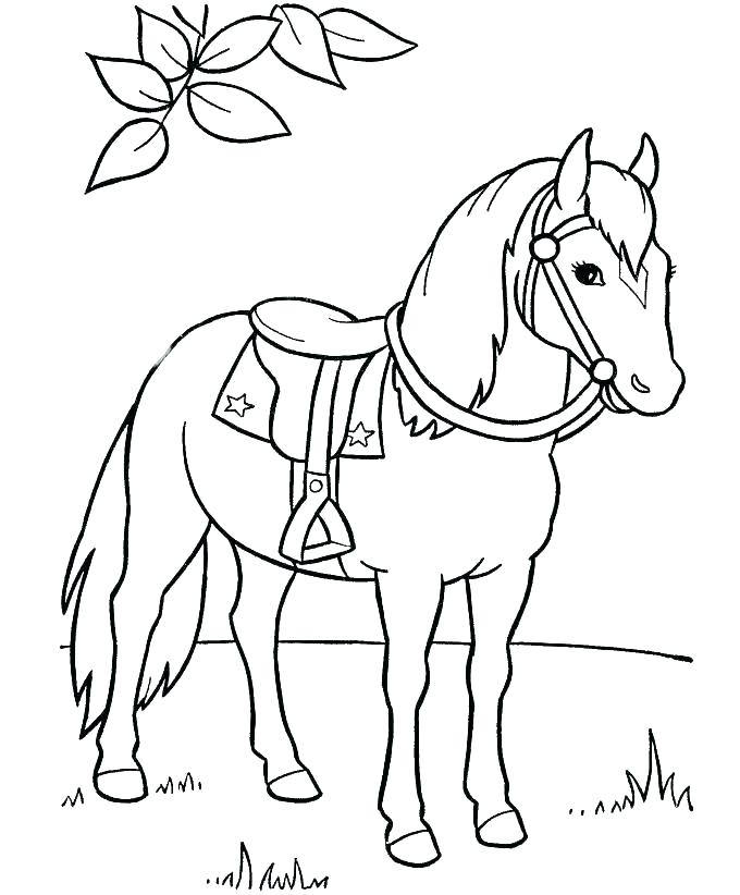 680x822 Unicorn Or Flying Horse Coloring Pages For Adults Free Printable