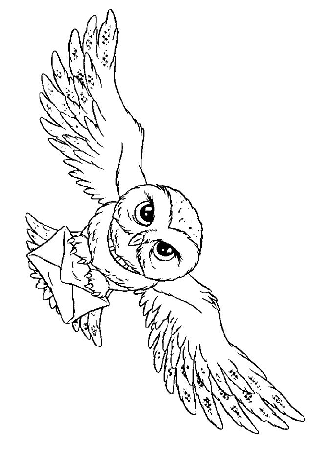 Flying Owl Coloring Pages