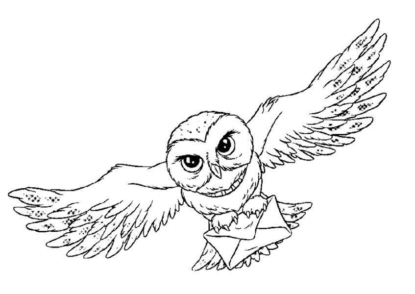 847x600 Flying Owl Hp Party Owl, Owl Embroidery And Embroidery