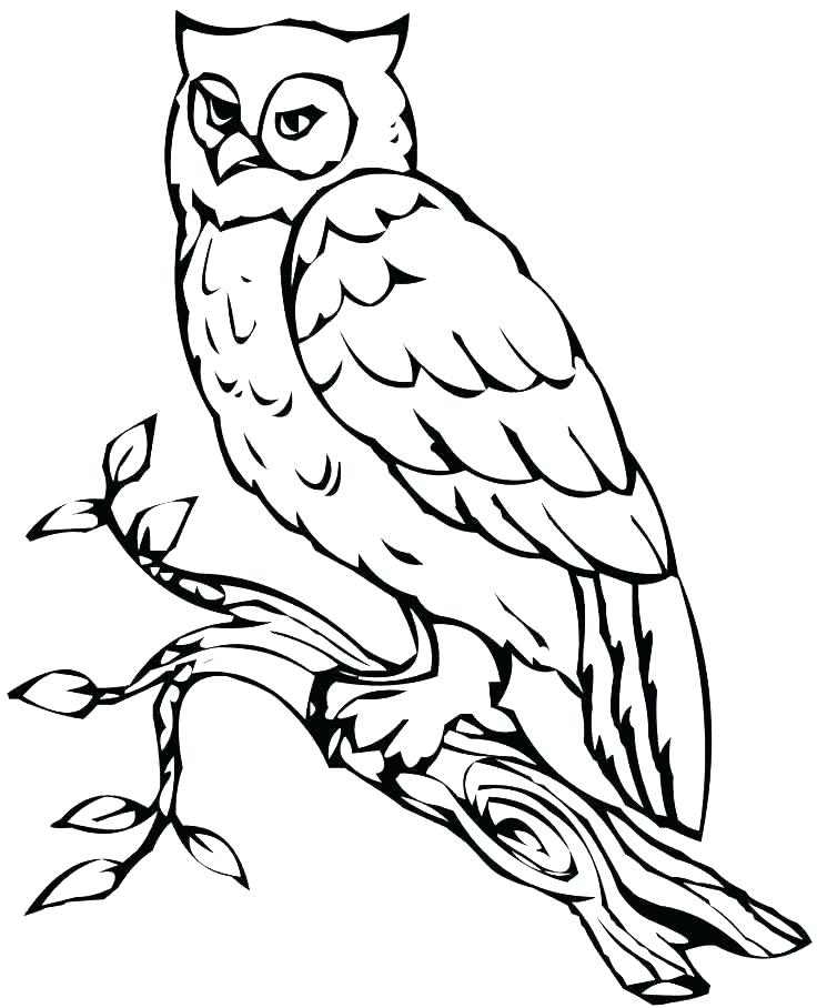 736x908 Printable Owl Coloring Pages Coloring Printable Flying Owl