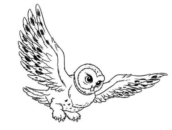 600x456 Flying Owl Coloring Page