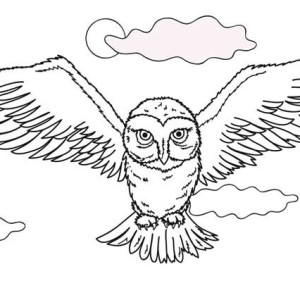 300x300 Flying Owl Coloring Page Flying Owl Coloring Page.jpg Color Nimbus