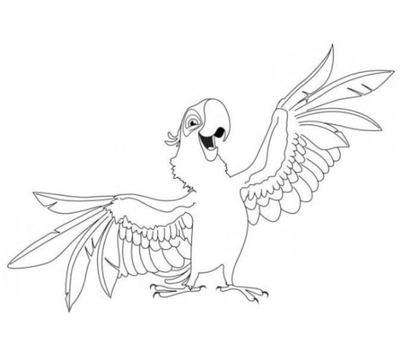 800x700 Parrot Coloring Pages 17 Hd Coloring Pages