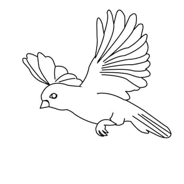 600x600 Parrot Pictures For Kids To Color Amazing Bird Flying Floating