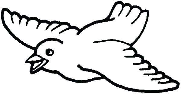 600x312 Remarkable Coloring Pages Of Birds Flying Broad Wings Bird