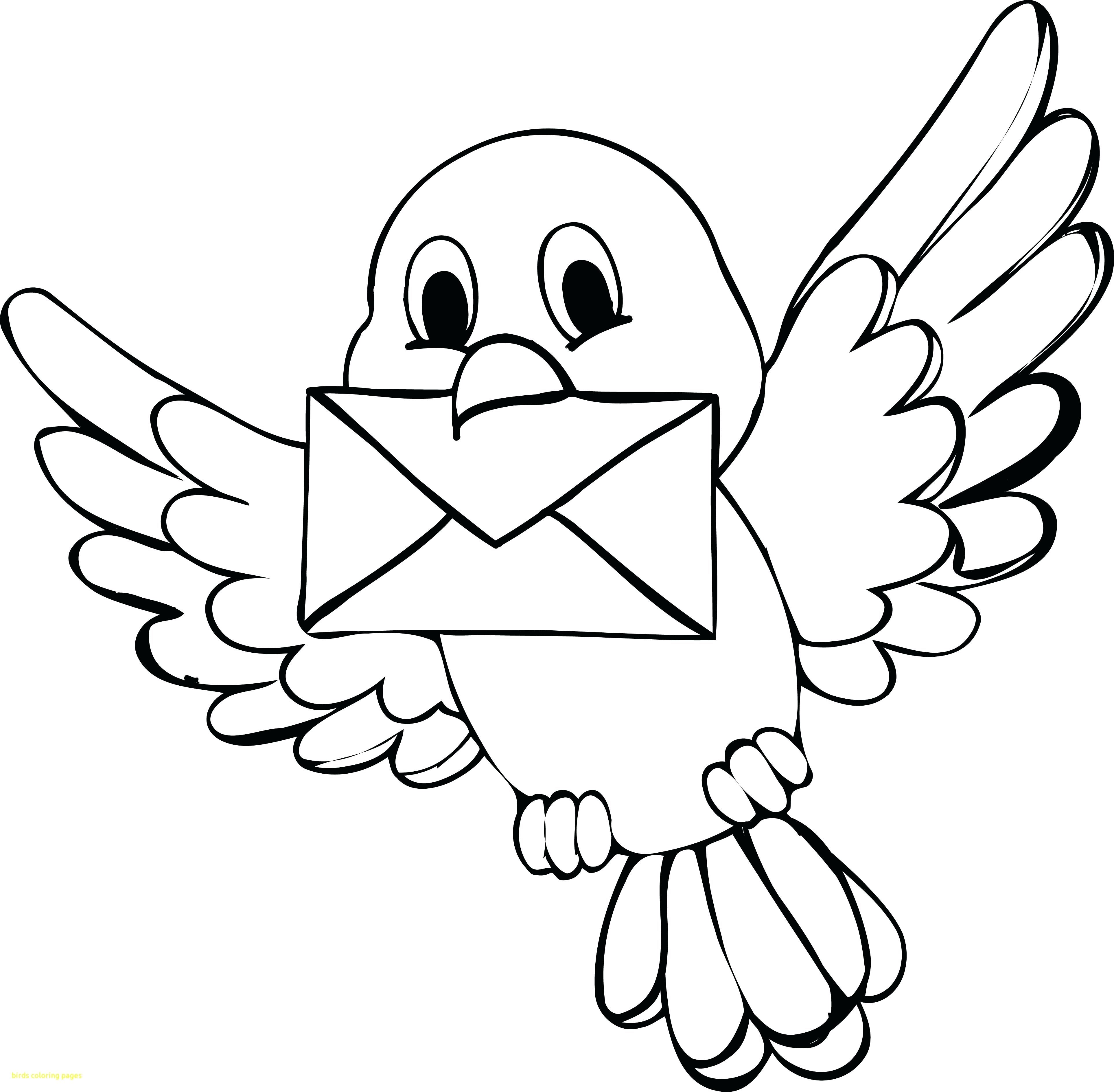 3851x3773 Coloring Pages Birds Flying New Coloring Coloring Page Birds Cute