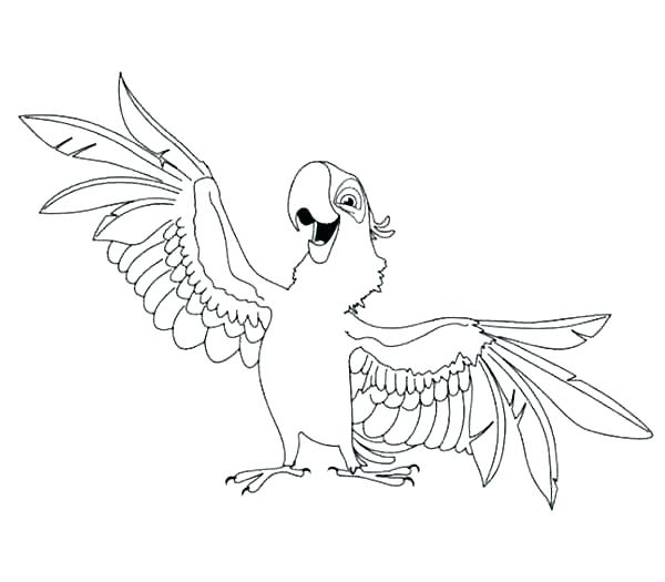 600x525 Coloring Pages Of Parrots Parrot Coloring Pages Parrot Coloring