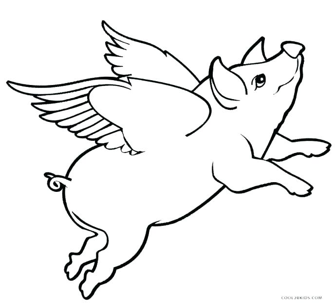 688x630 Cute Pig Coloring Pages Cute Pigs Coloring Pages Page Of A Pig Is