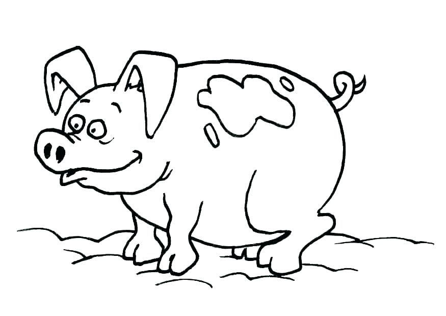 875x620 Flying Pig Coloring Pages Pig Coloring Sheet Pig Color Page Pig