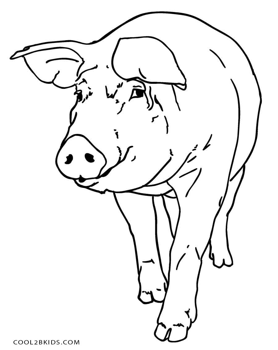 900x1132 Pig Coloring Page Unique Free Flying Pigs Coloring Pages Logo