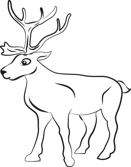 549x700 Coloring Pages Of Reindeer Coloring Pages Reindeer Coloring Pages