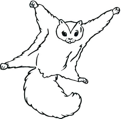 400x393 Flying Squirrel Coloring Page Flying Squirrel Coloring Page