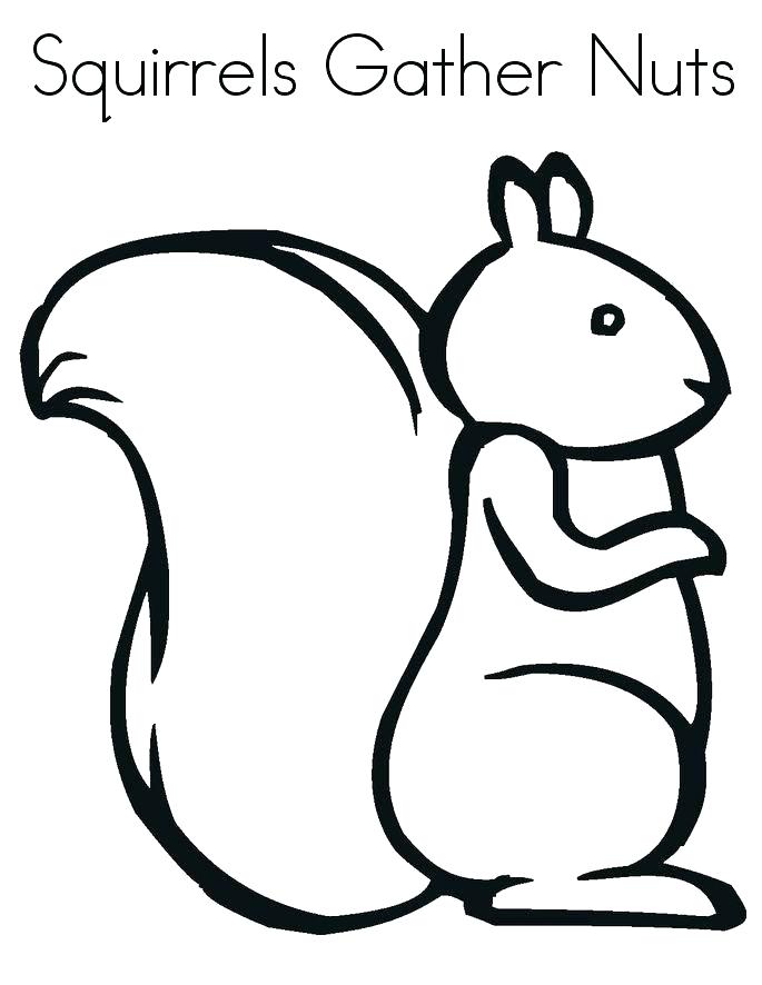 685x886 Flying Squirrel Coloring Page Many Interesting Flying Squirrel