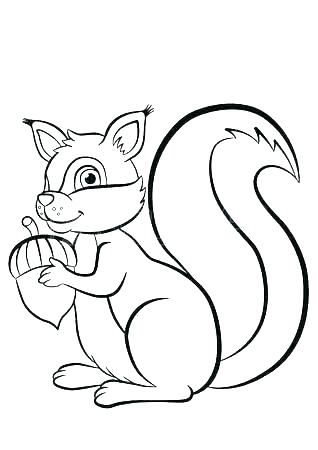 318x450 Flying Squirrel Coloring Page Squirrel Pictures To Color Sketch