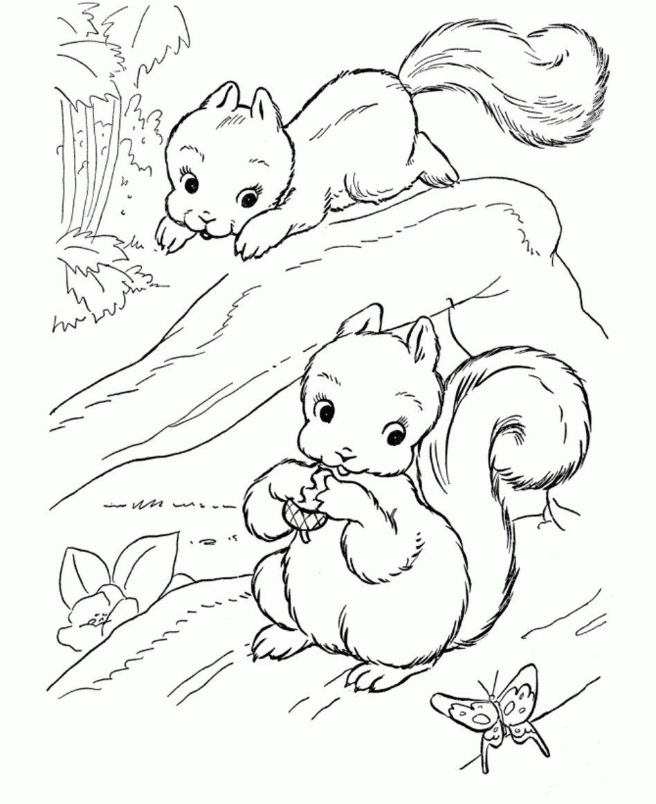 948x1161 Fresh Flying Squirrel Page To Color Collection Printable