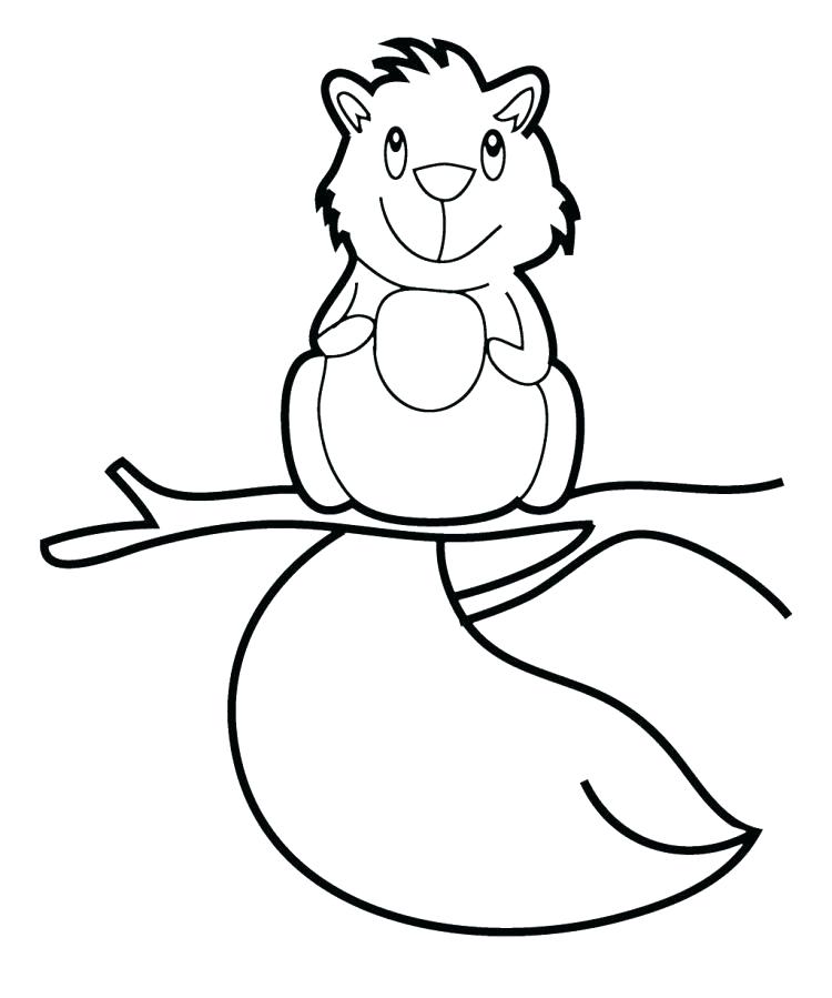 750x899 Squirrel Coloring Pages Coloring Pages Of Squirrels Cute Baby