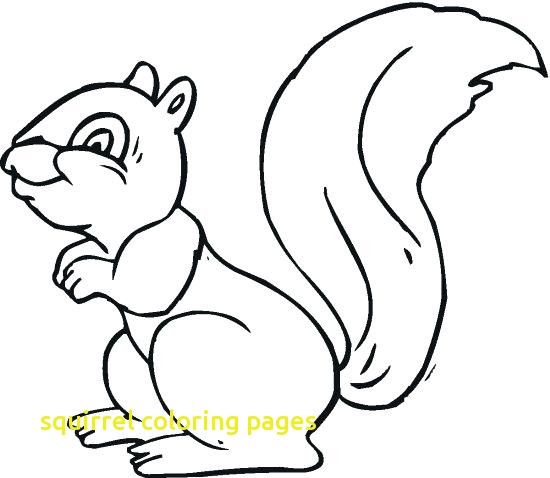 550x478 Squirrel Coloring Pages With Flying Squirrel Coloring Page Pin