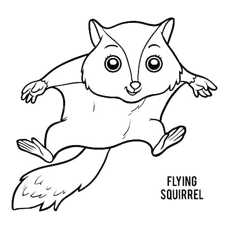450x450 Flying Squirrel Coloring Page