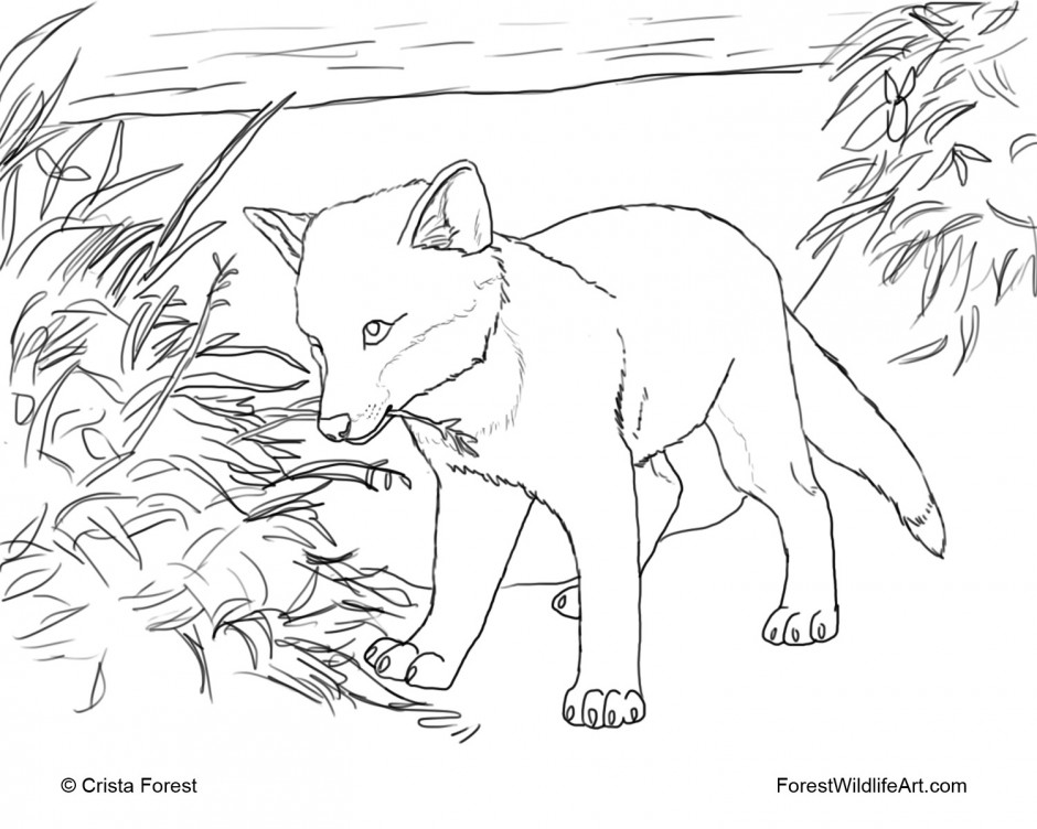 940x752 Flying Squirrel Coloring Page 472444