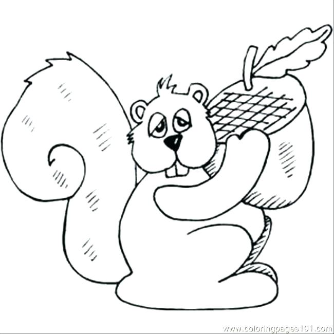 650x650 Flying Squirrel Coloring Page Coloring Pages Squirrel Squirrel