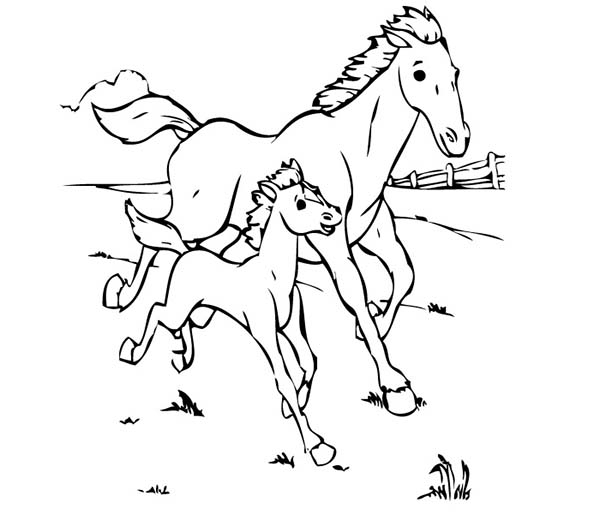 600x514 Mare And Foal Coloring Pages Ba Horse Coloring Pages Horse Ba