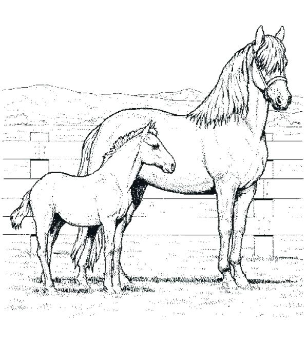 600x681 Mother Horse Foal Coloring Pages Coloring Pages Of Horses