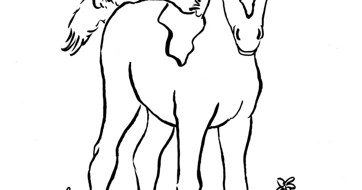 1200x630 Foal Coloring Page