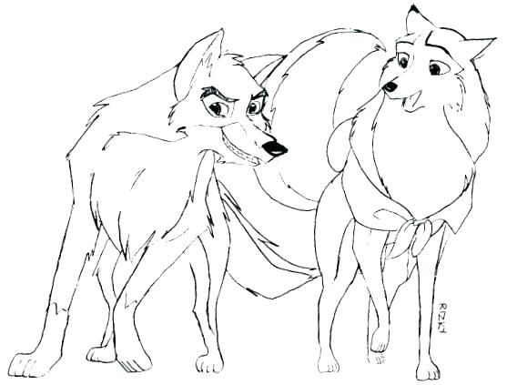 557x423 Foghorn Leghorn Colouring Pages