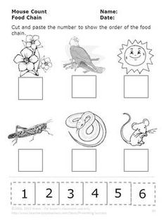 236x314 Food Chain Coloring Page Free Download