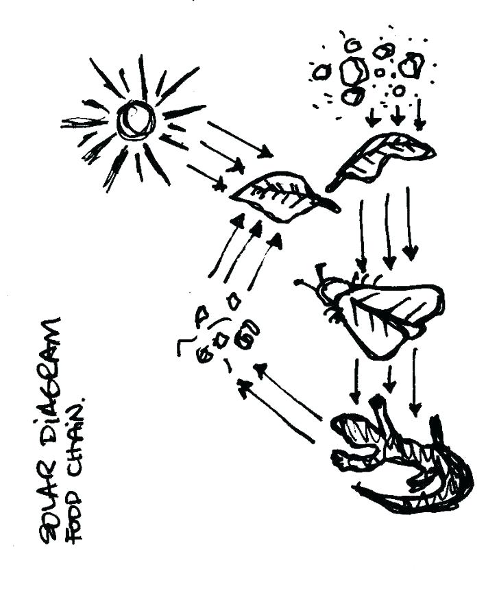 728x862 Astounding Food Web Coloring Pages Cool Food Chain Coloring Pages