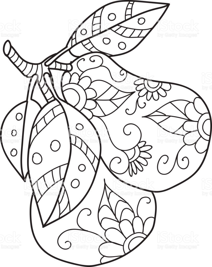 813x1024 Best Of Fruit Coloring Pages For Adults Collection Printable