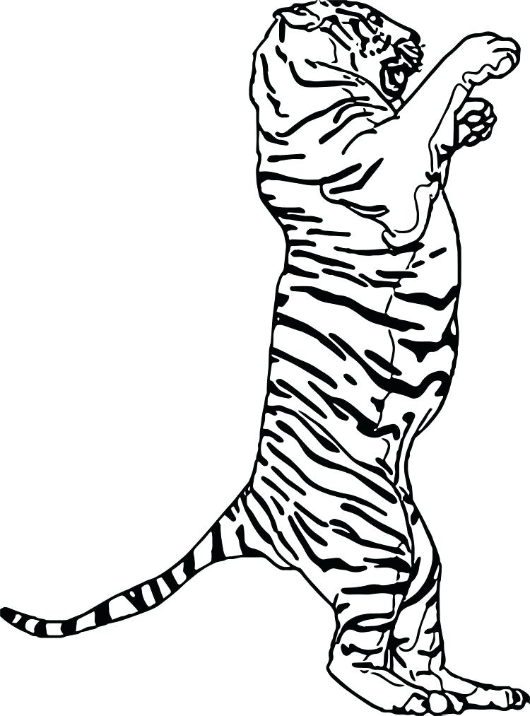 750x1013 Footprint Coloring Page Foot Coloring Pages With Foot Anatomy