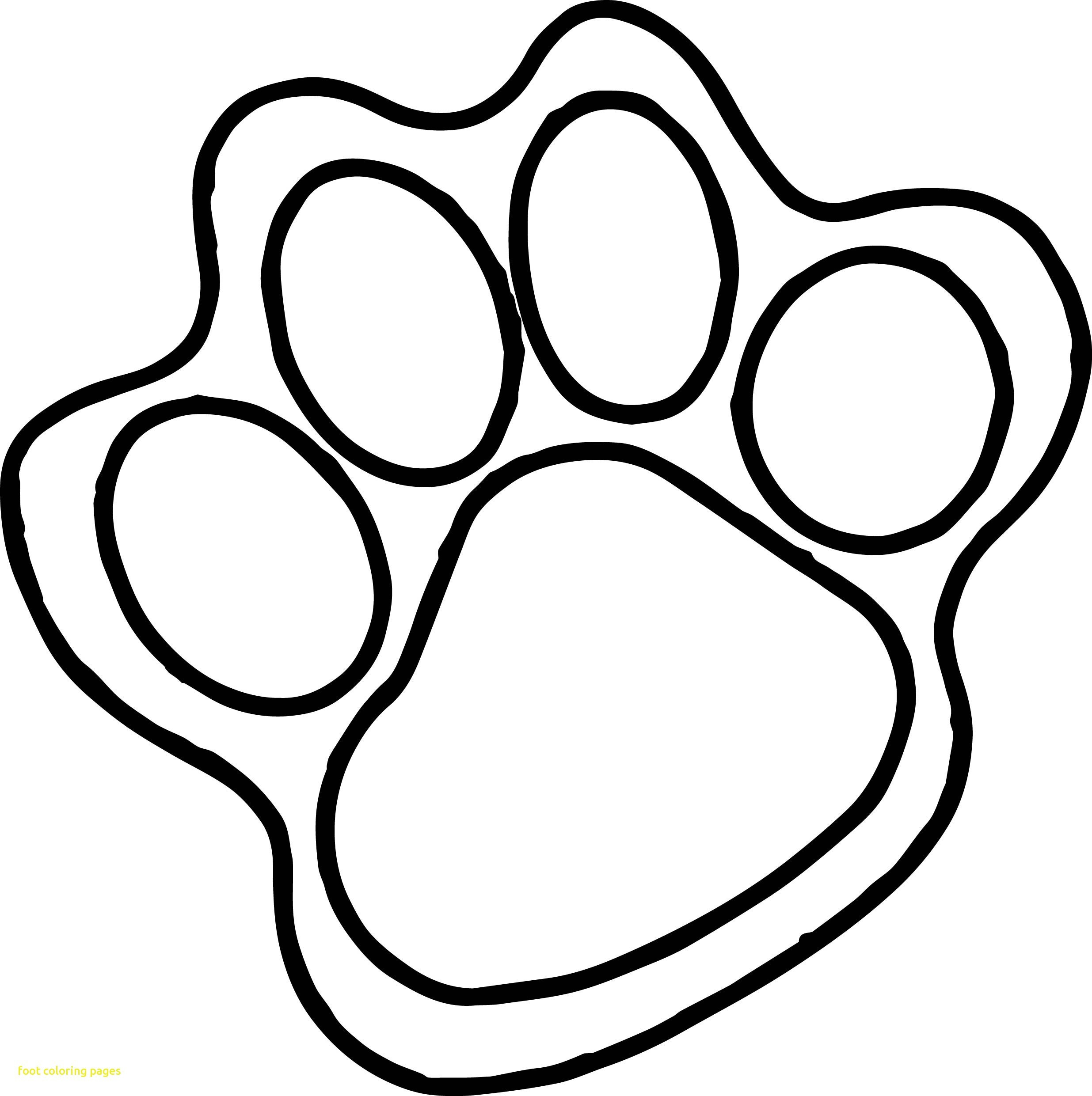 2471x2481 Latest Foot Coloring Page Pages With 99 Ideas Feet On 5392