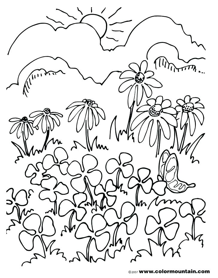 728x928 Field Day Coloring Page Colori On Football Field Coloring Pages
