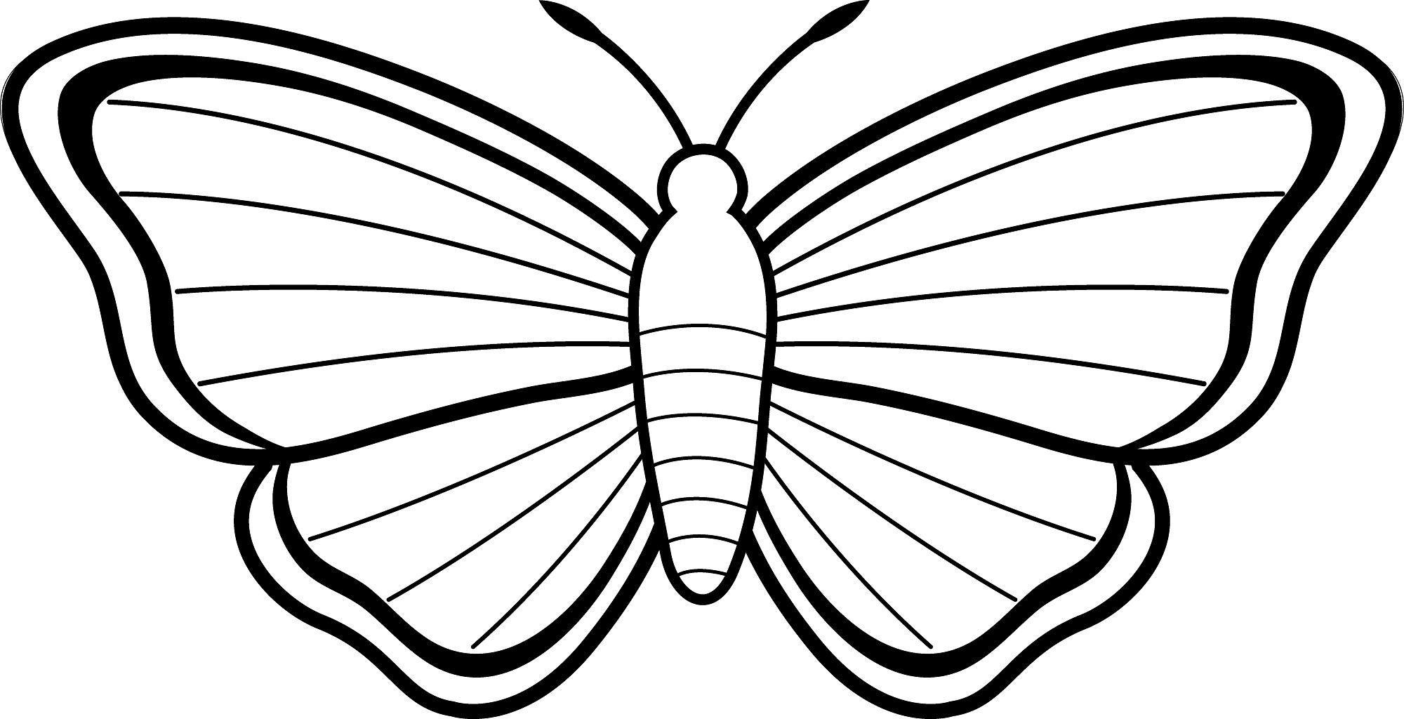 2000x1024 Huge Gift Butterfly Pic To Color Free Printable Coloring Pages