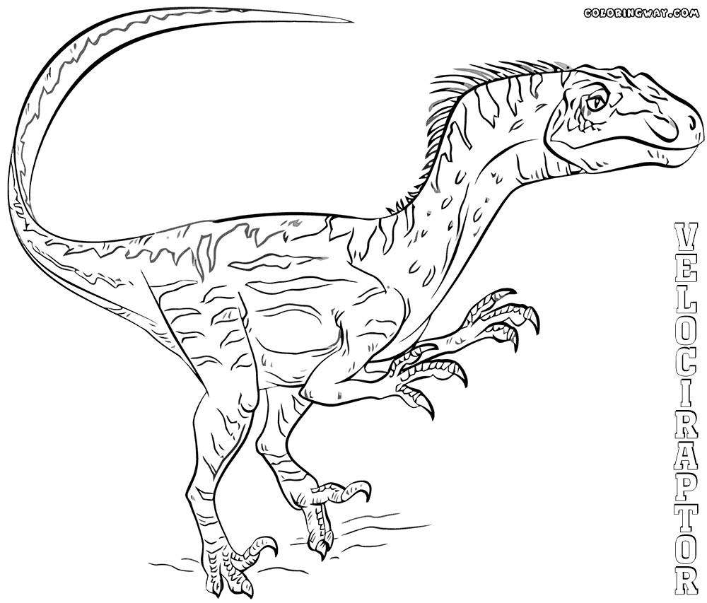 1000x853 21 Raptor Coloring Pages Pictures Free Coloring Pages Endear Page
