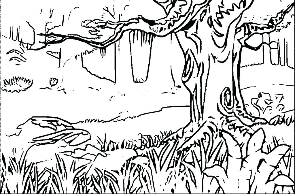 1024x673 Forest Coloring Pages Fantasy Pages For Adult Coloring For Forest