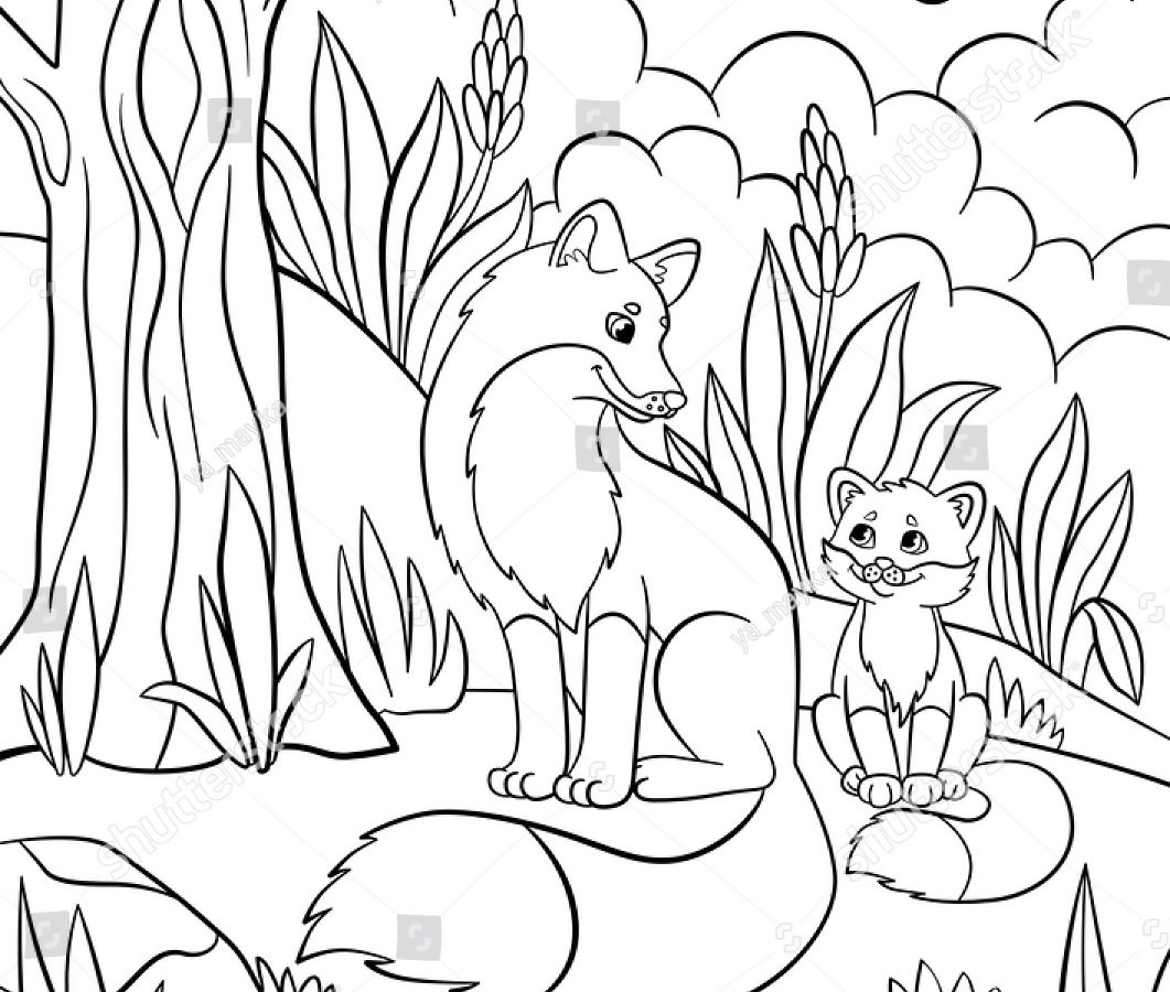 1061x900 Fresh Forest Animal Coloring Pages To Print Gallery Printable