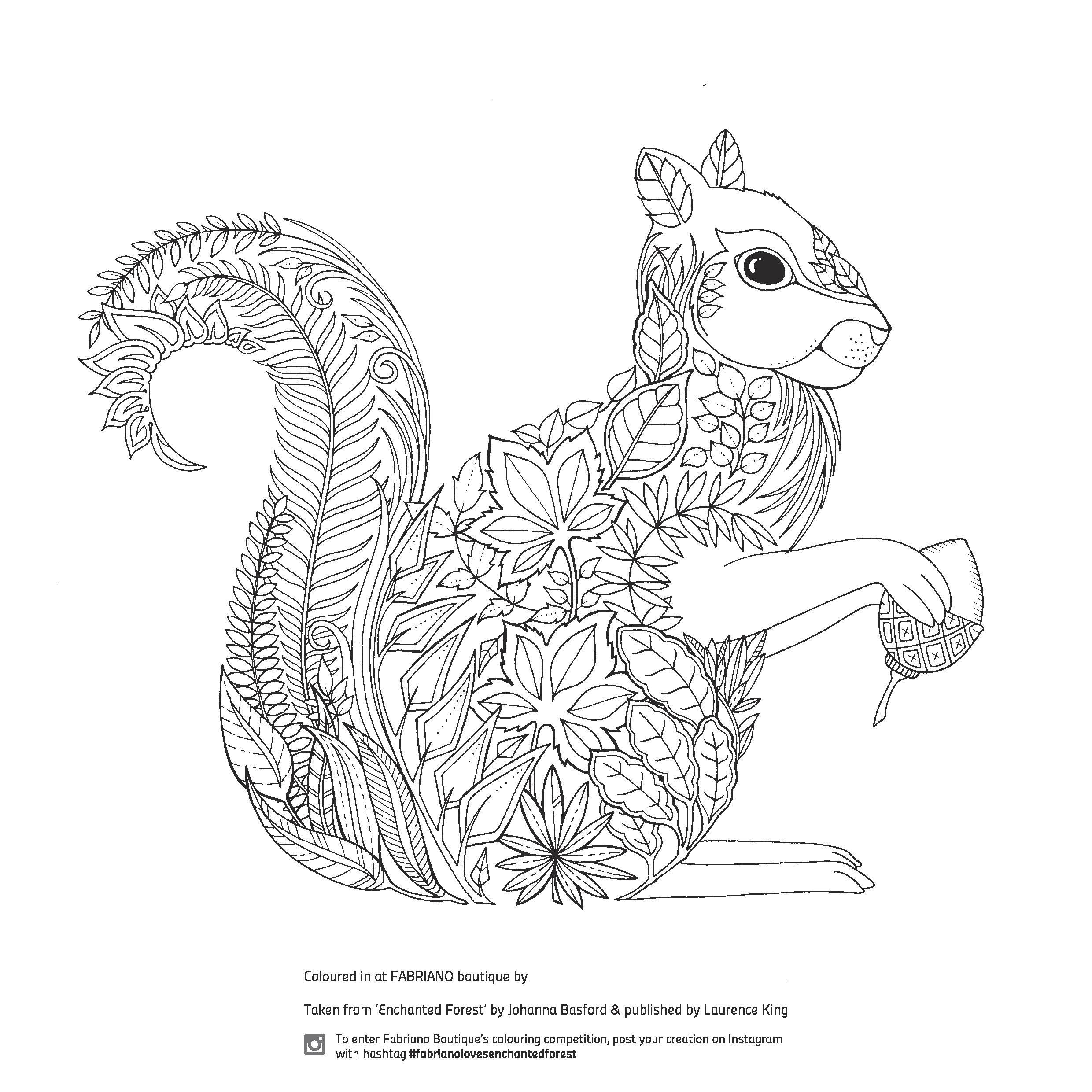 2480x2480 Modest Enchanted Forest Coloring Pages Pdf Colouring Competition