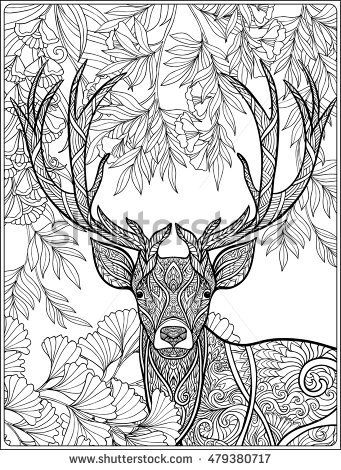 341x470 Coloring Page With Deer In Forest. Coloring Book For Adult